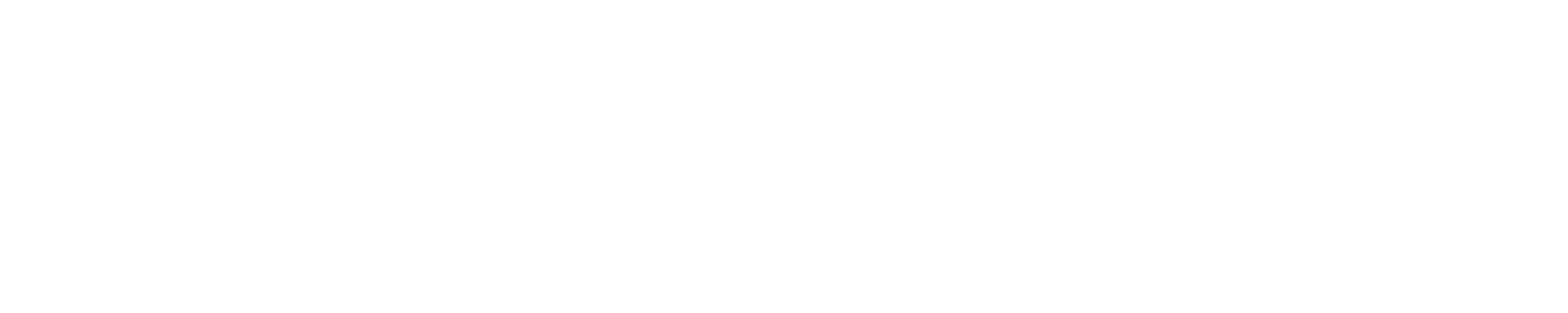 BirdView Consulting logo